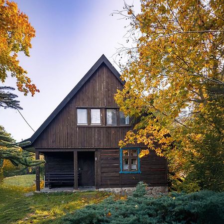 Villa Dom Pod Klonem Na Kaszubach Kościerzyna Exterior foto