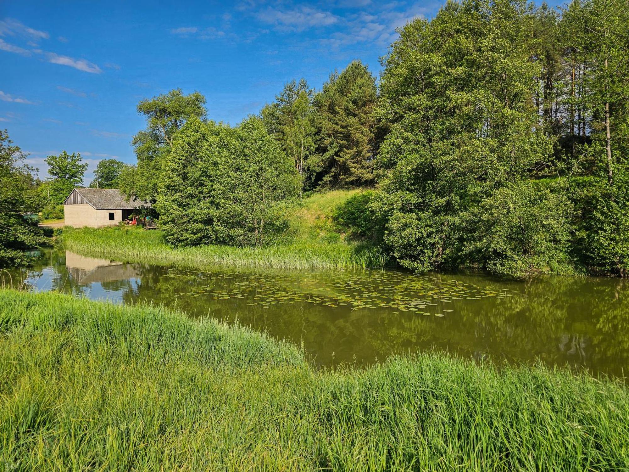 Villa Dom Pod Klonem Na Kaszubach Kościerzyna Exterior foto