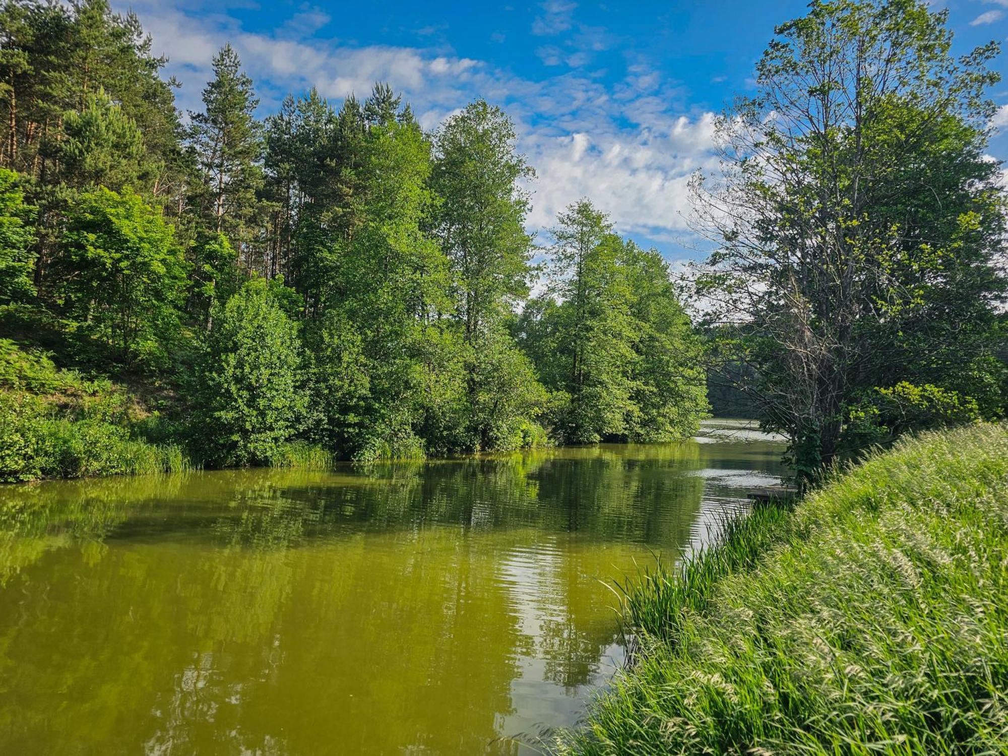 Villa Dom Pod Klonem Na Kaszubach Kościerzyna Exterior foto