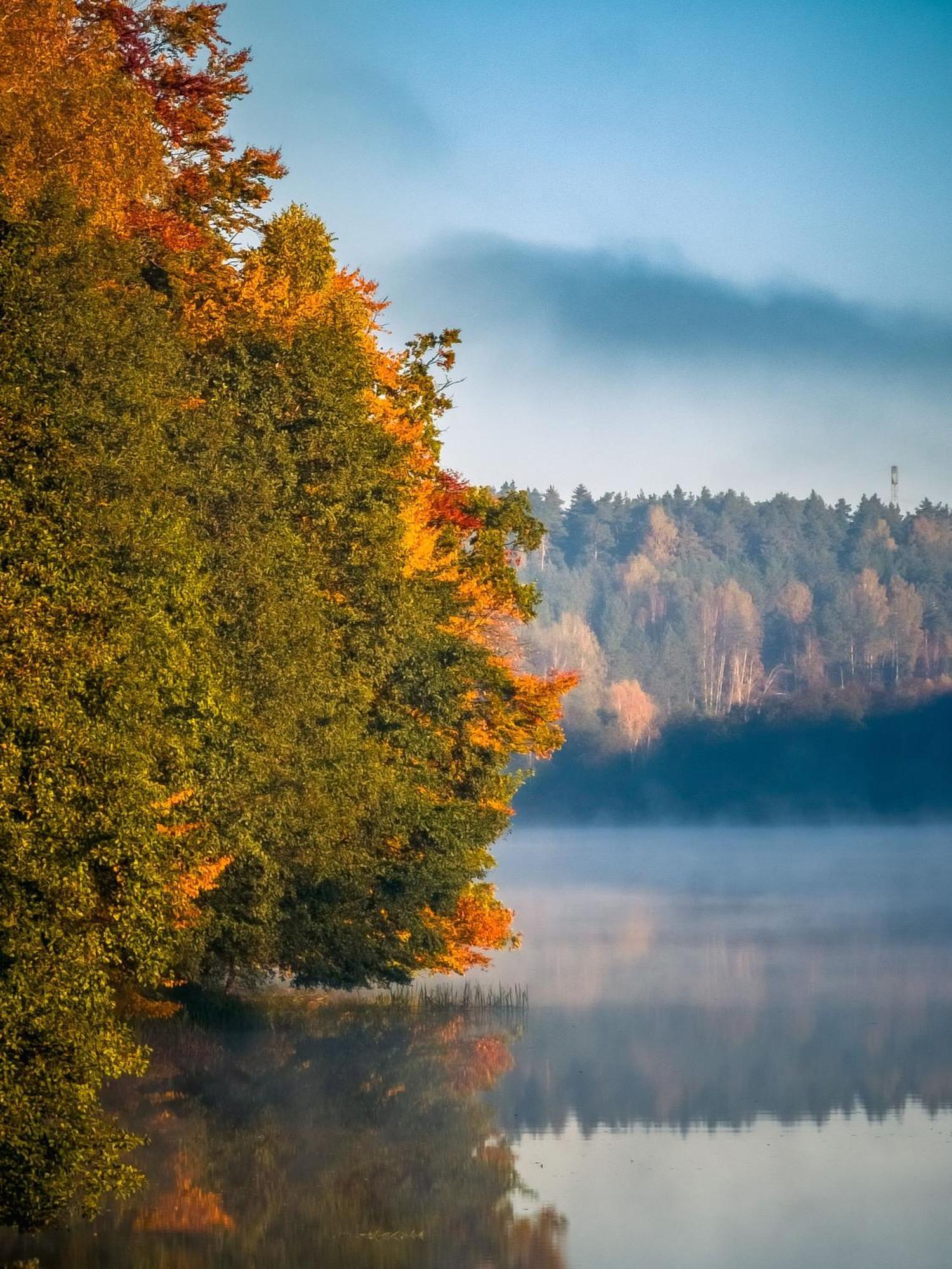 Villa Dom Pod Klonem Na Kaszubach Kościerzyna Exterior foto