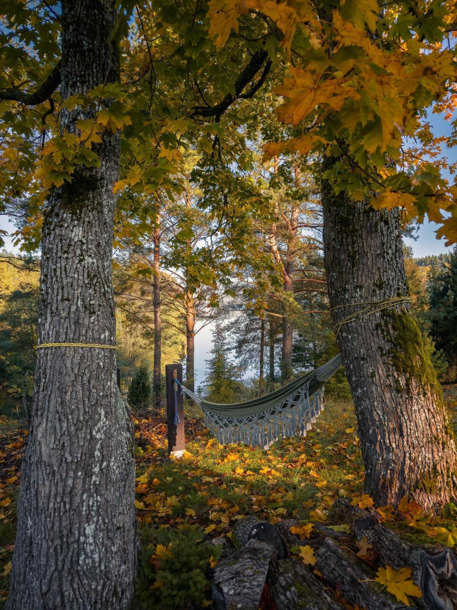 Villa Dom Pod Klonem Na Kaszubach Kościerzyna Exterior foto
