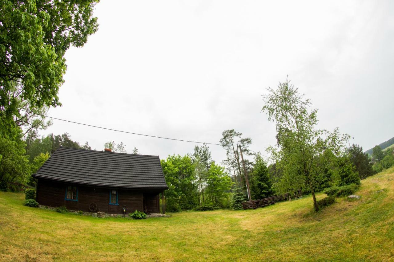 Villa Dom Pod Klonem Na Kaszubach Kościerzyna Exterior foto