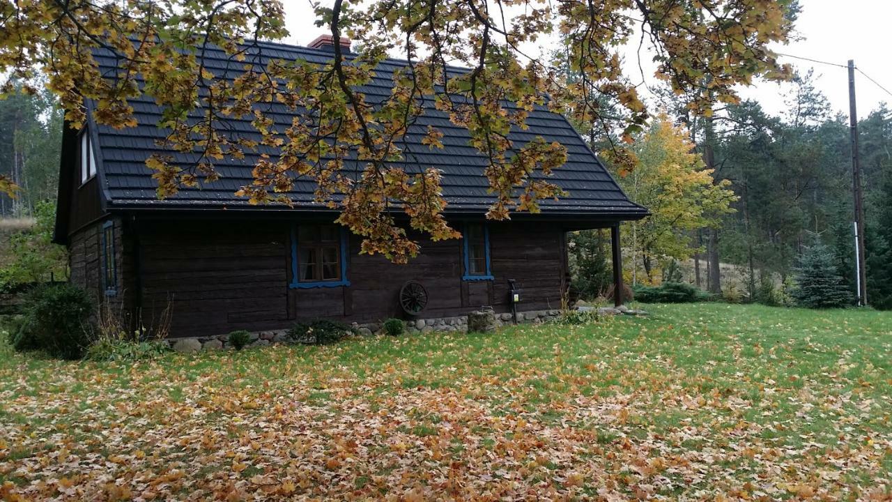 Villa Dom Pod Klonem Na Kaszubach Kościerzyna Exterior foto